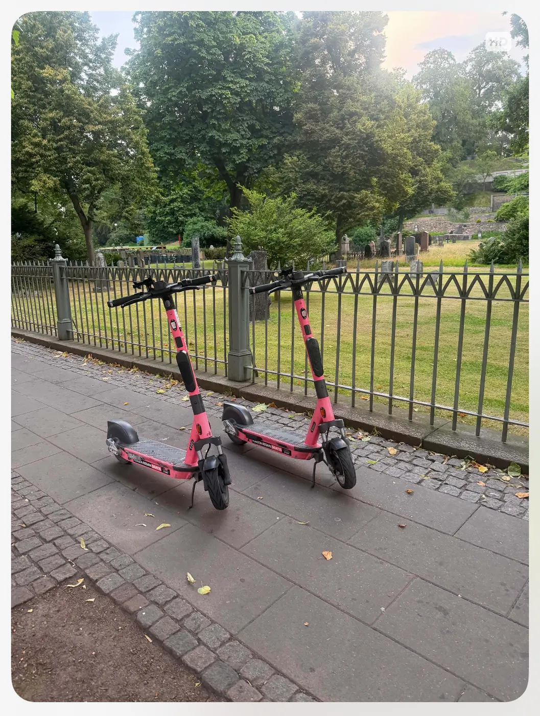 Felparkerade elsparkcyklar som hindrar framkomligheten i Helsingborg.